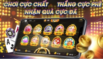 Cẩm nang lựa chọn gamebaidoithuong.cx: Hướng dẫn chọn trò chơi phù hợp với sở thích